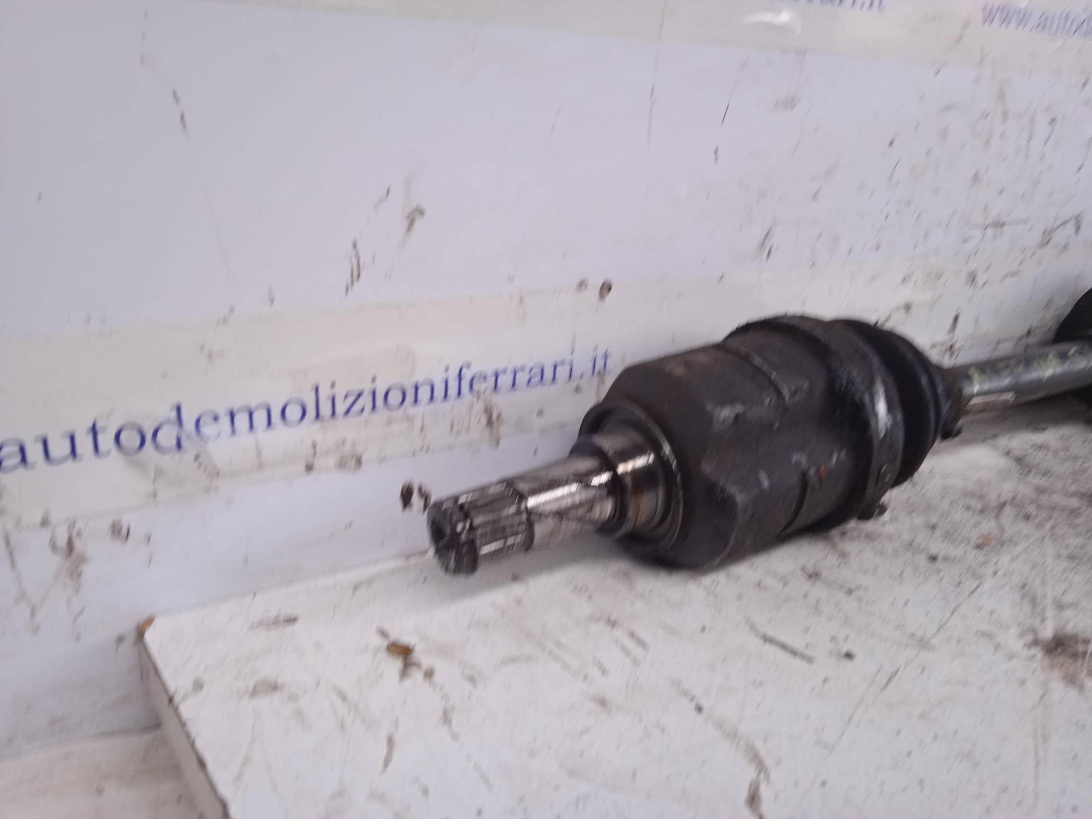 Semialbero ant. compl. sx.